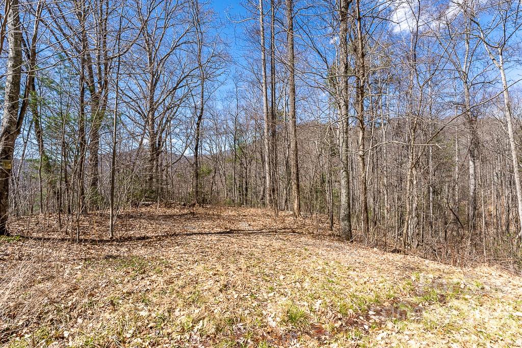 BARTLETT MOUNTAIN VIEWS - Land