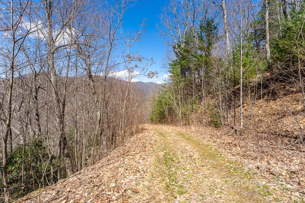 BARTLETT MOUNTAIN VIEWS - Land