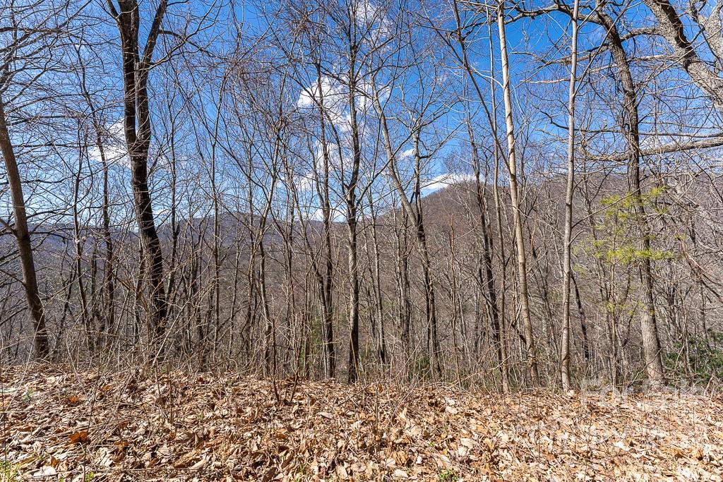 BARTLETT MOUNTAIN VIEWS - Land