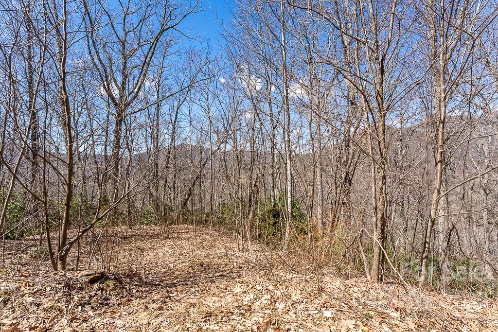 BARTLETT MOUNTAIN VIEWS - Land