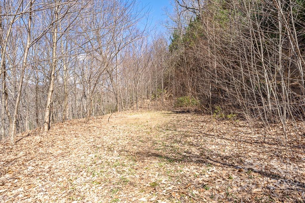 BARTLETT MOUNTAIN VIEWS - Land