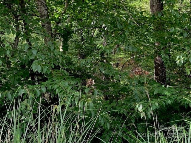 1.0AC HOLBERT COVE Road 2