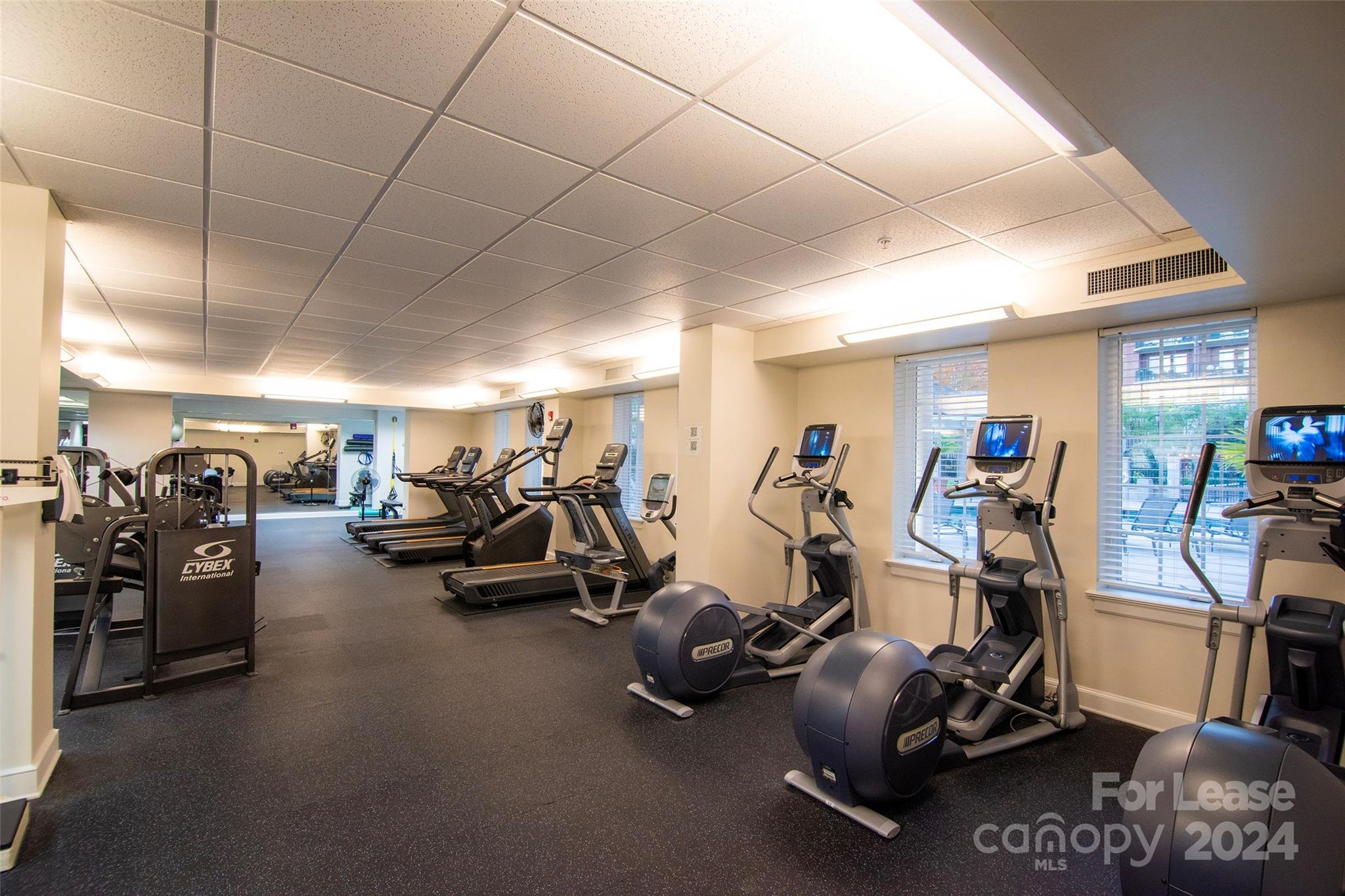 Fifth And Poplar - Residential Lease