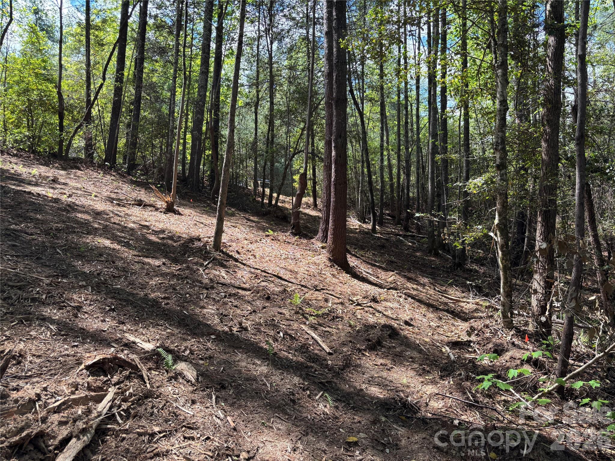 The Coves Mountain River Club - Land