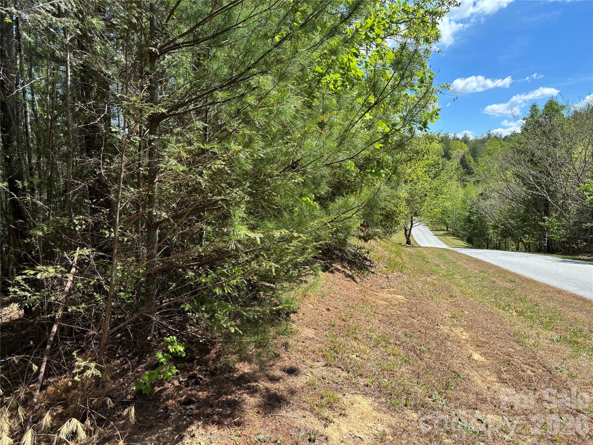 The Coves Mountain River Club - Land