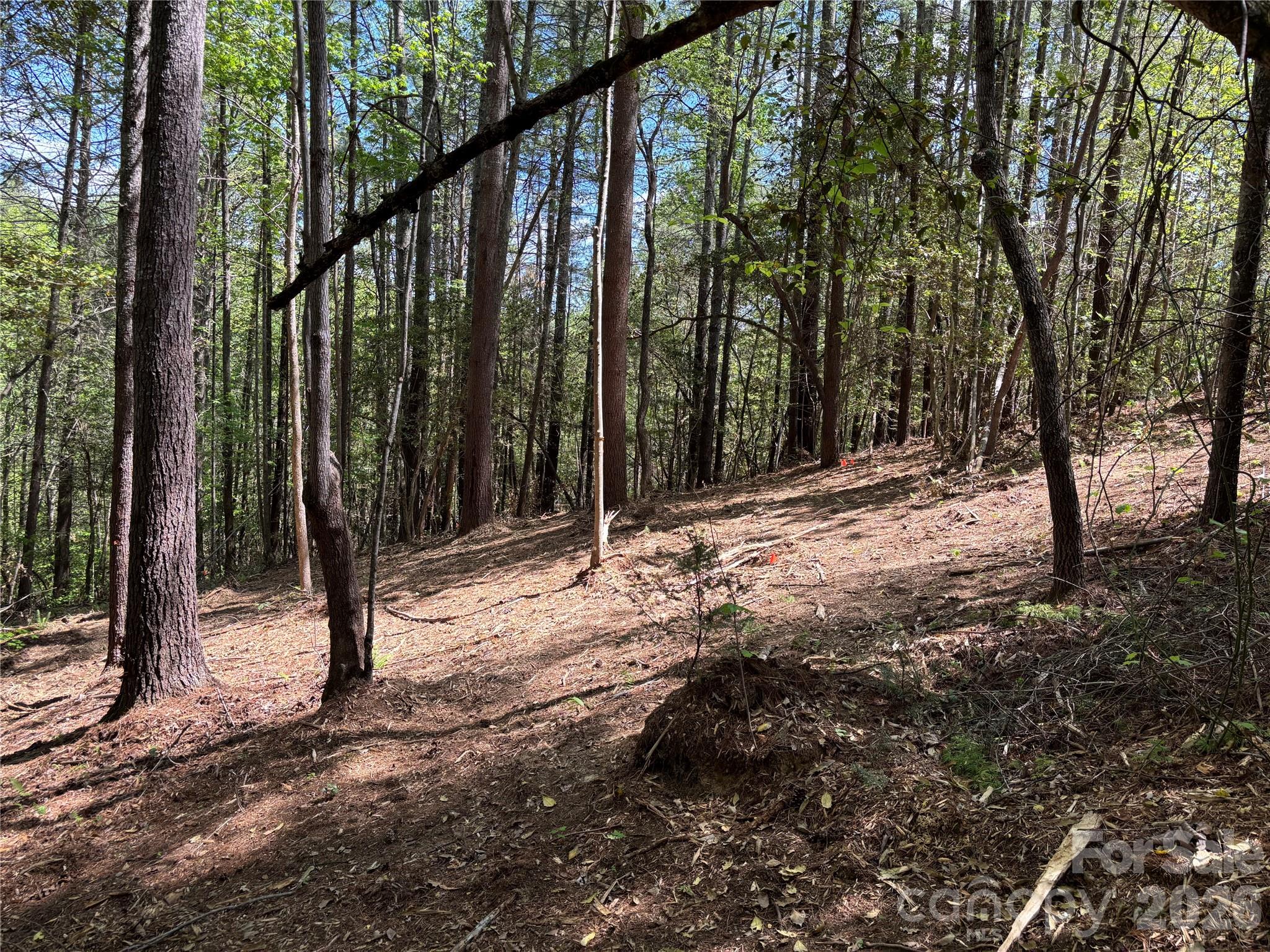 The Coves Mountain River Club - Land