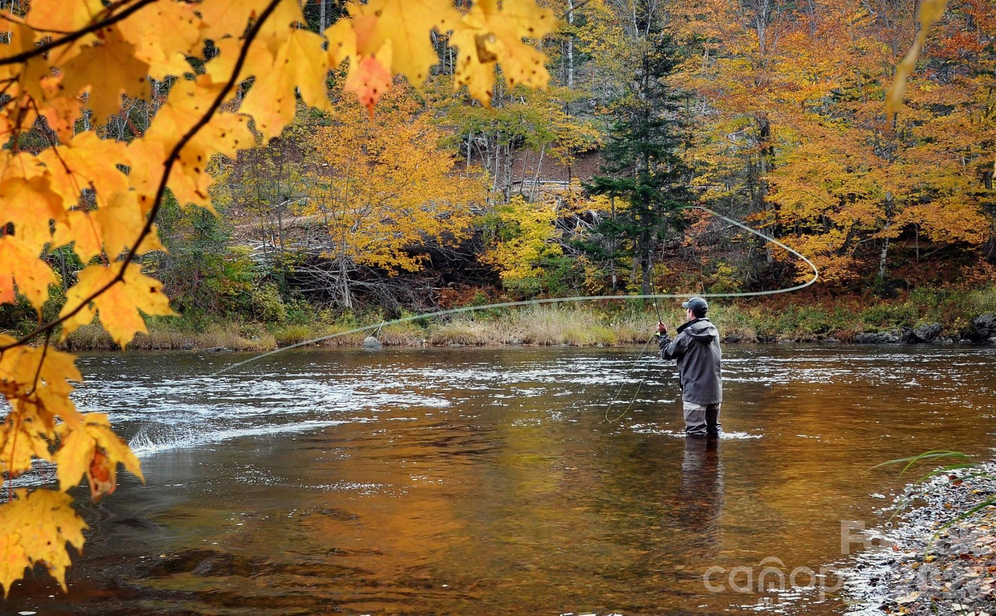 The Coves Mountain River Club - Land