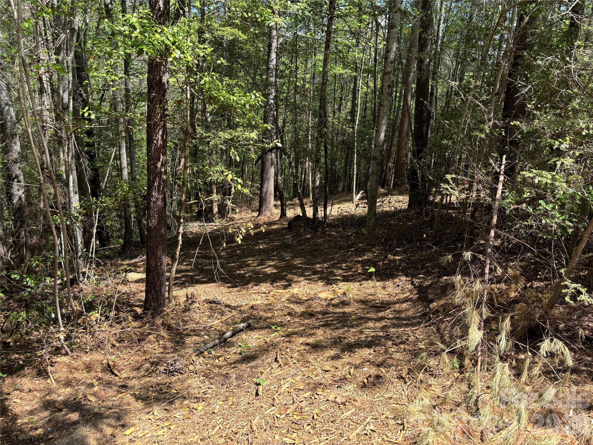 The Coves Mountain River Club - Land