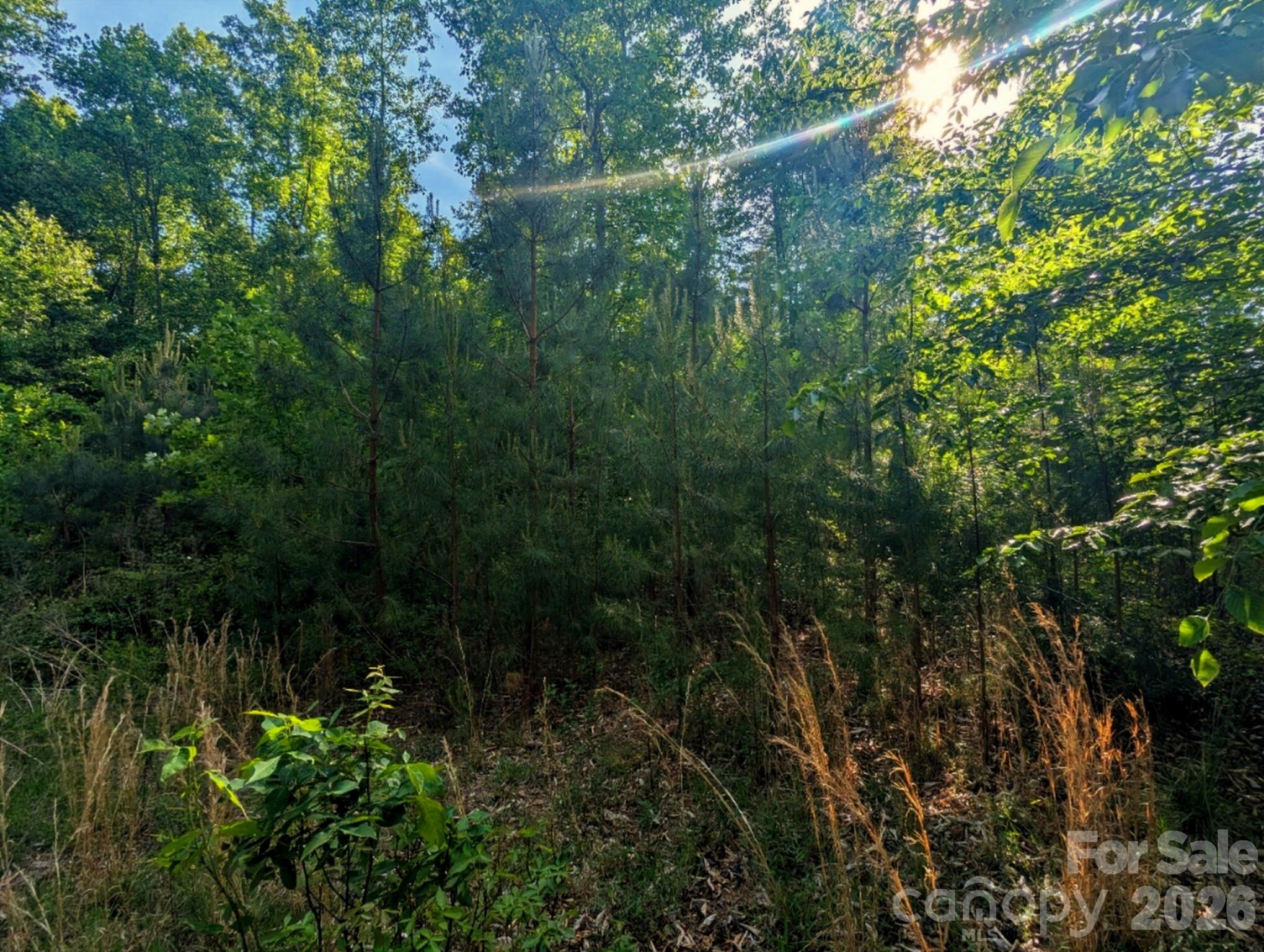 Lakeside Reserve - Land