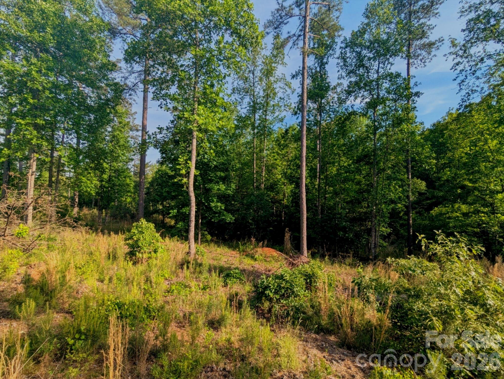 Lakeside Reserve - Land