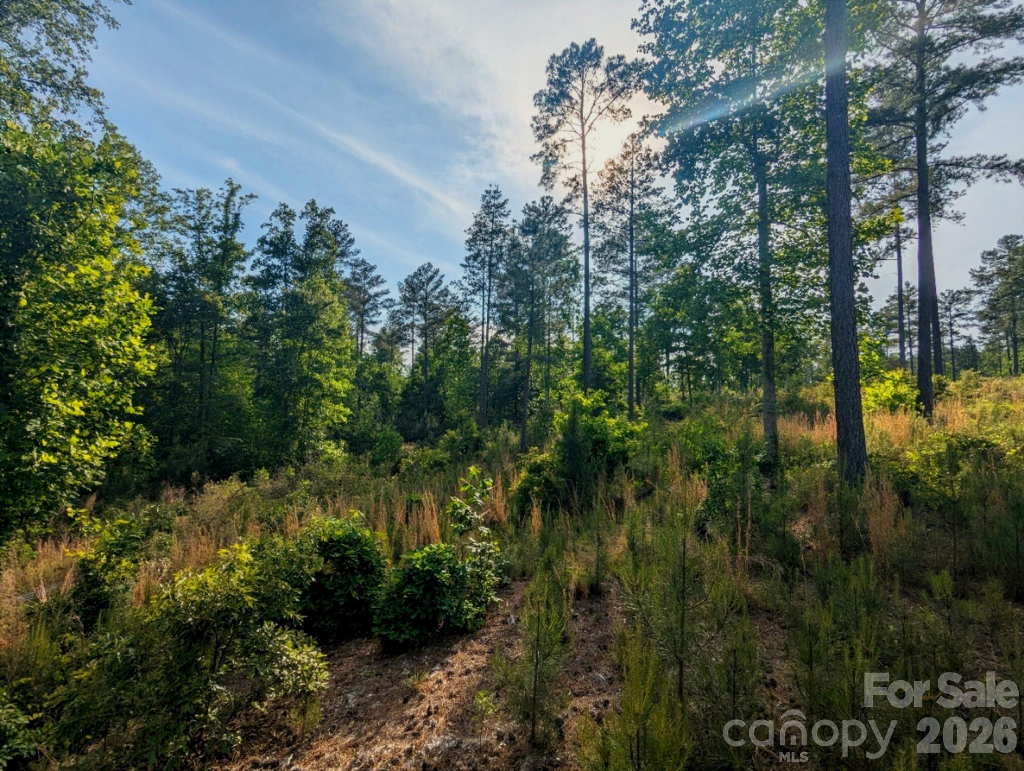 Lakeside Reserve - Land