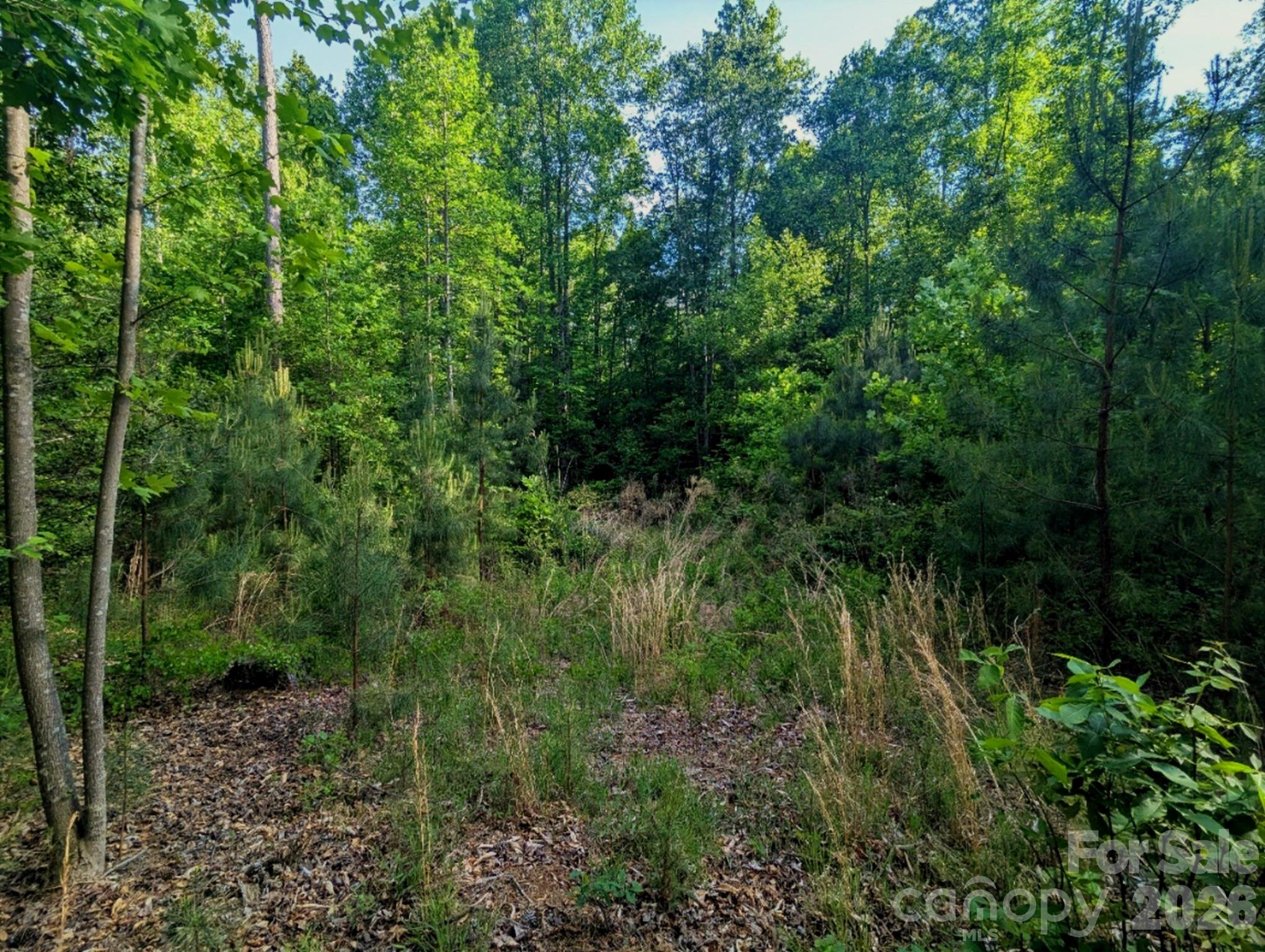 Lakeside Reserve - Land