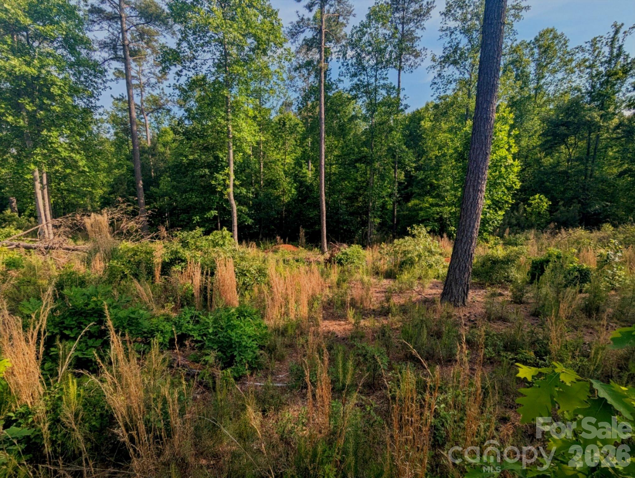 Lakeside Reserve - Land