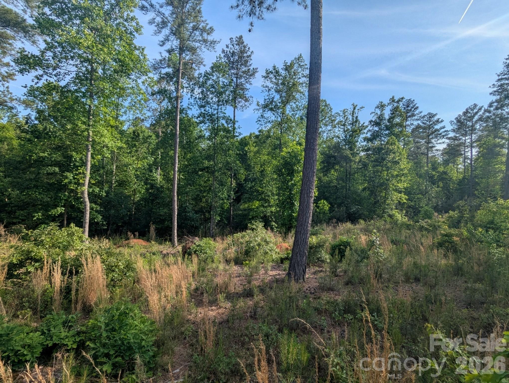 Lakeside Reserve - Land