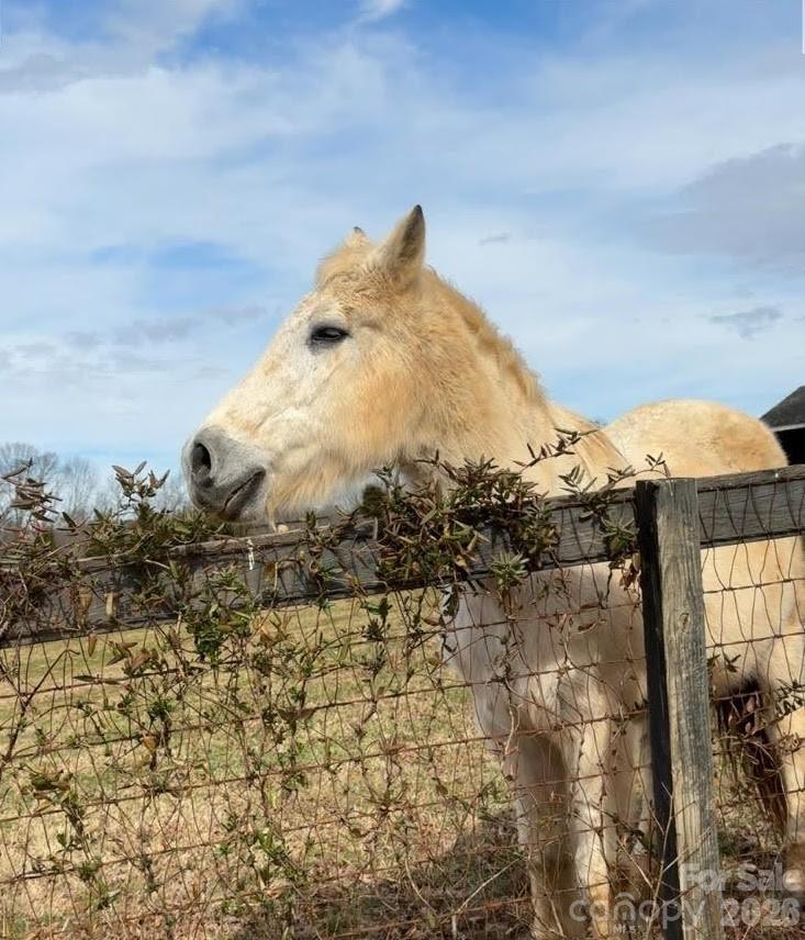 Gambill Forest - Residential