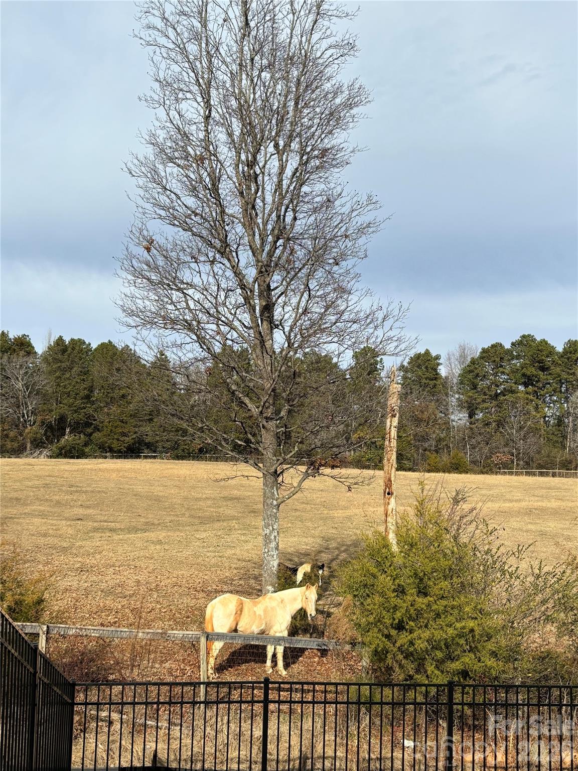 Gambill Forest - Residential