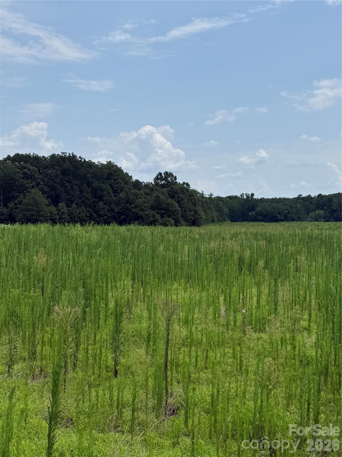 2.95+/-AC Neal Road LOT 13