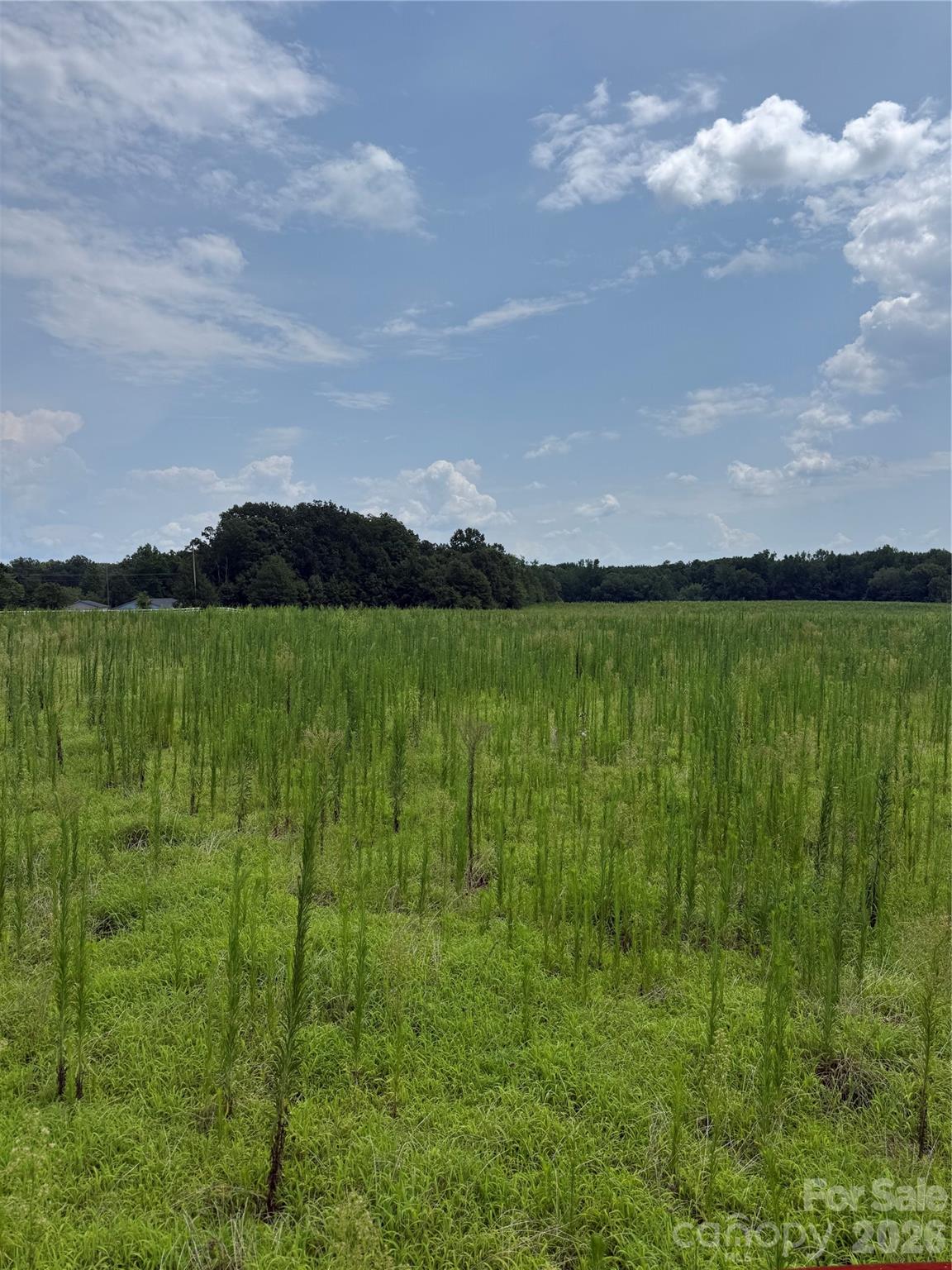 2.95+/-AC Neal Road LOT 13