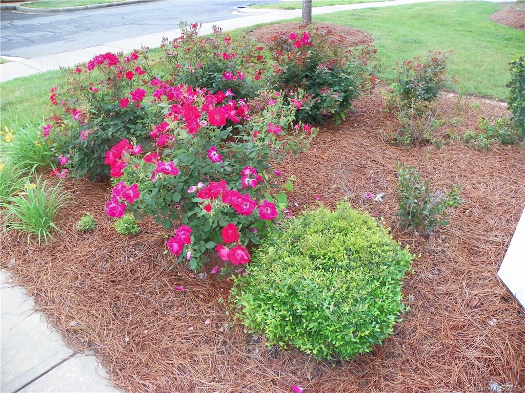 Harrisburg Town Center - Residential