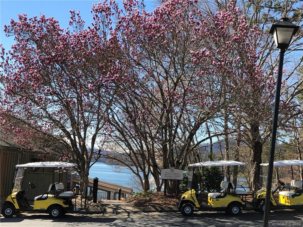 Rumbling Bald on Lake Lure - Residential