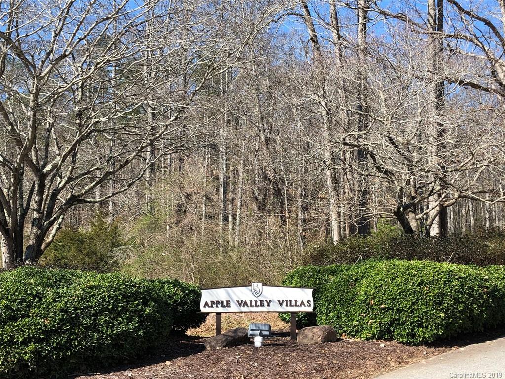 Rumbling Bald on Lake Lure - Residential