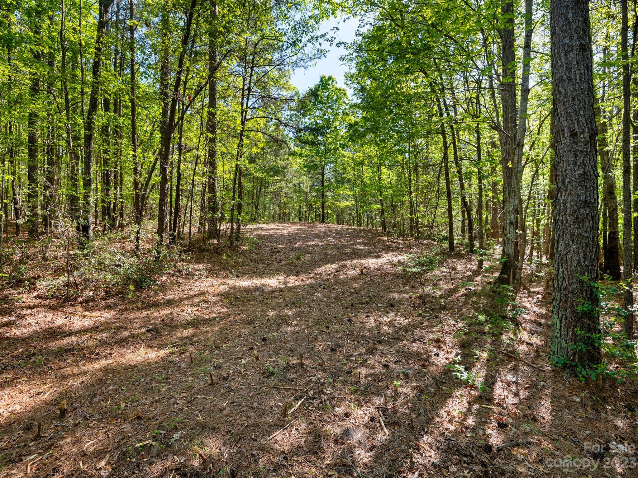 River Park at Lake Adger - Land