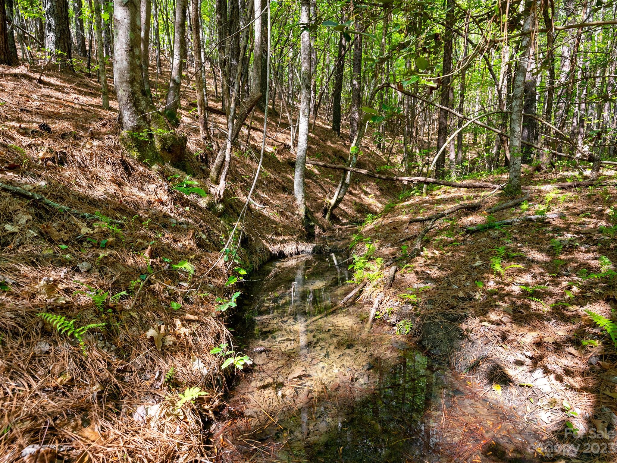 River Park at Lake Adger - Land