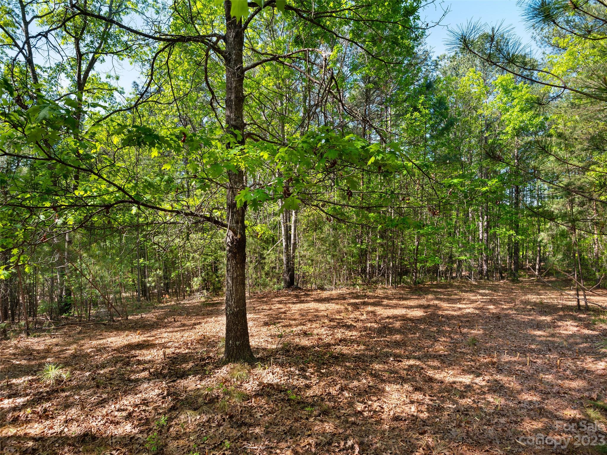 River Park at Lake Adger - Land