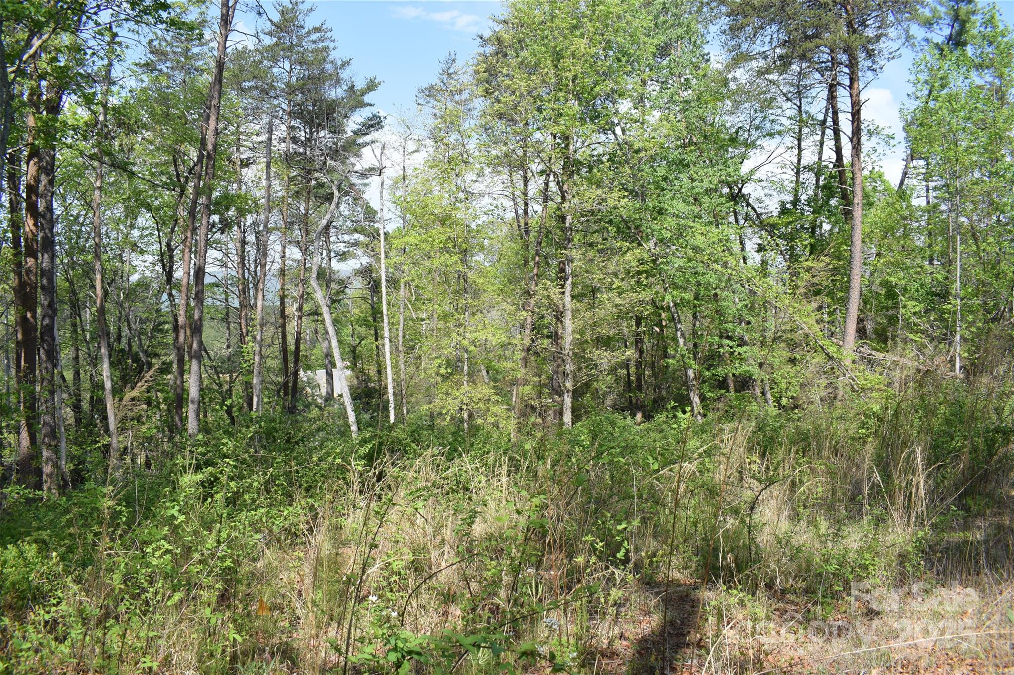 0 Winter Drive Lot 7