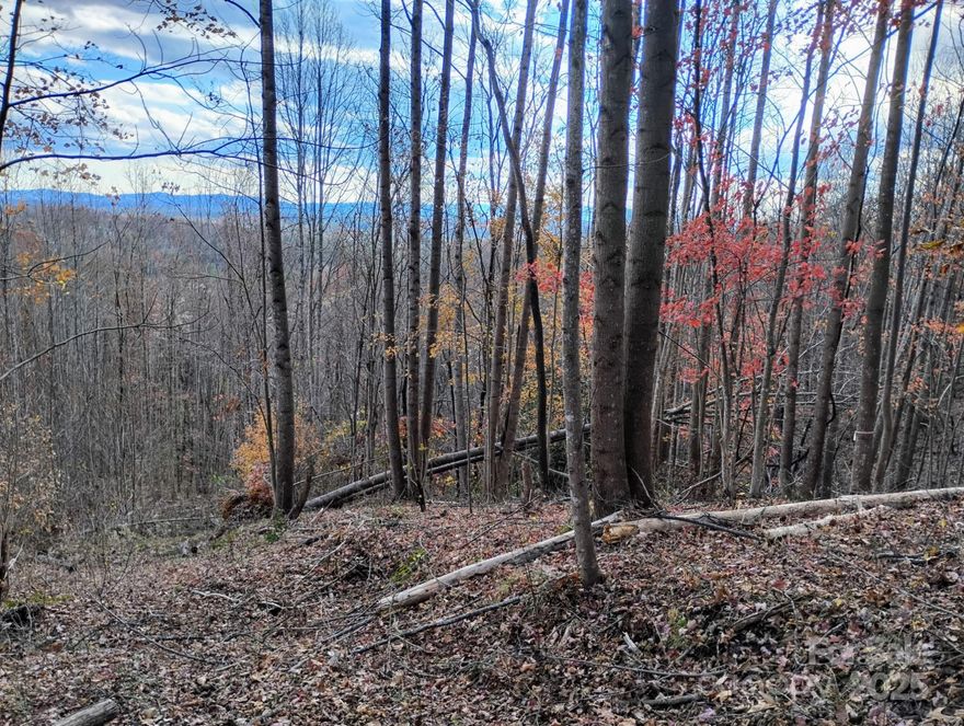 Enjoy this beautiful 10+ acre home-site with long range mountain views located in The Coves Mountain River Club, a 3,200 acre gated community on Johns River in Blue Ridge Mountains of Western North Carolina. Miles of trails to hike, bike, ride horses or UTVs.  Approx 5 miles of Johns River on site to kayak, fish. Community gardens, vineyard, dog park, pickle ball courts,  equestrian centers and more. Clubhouse with 24/7 access to fitness center, locker rooms, saline pool, fire pits, pool table loft. Minutes to Blowing Rock, Lenoir, Morganton. 1hr 15 mins to Charlotte &amp; Asheville.