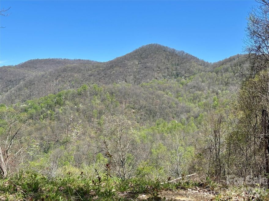 Unrestricted, 17.07-acre parcel adjacent to Pisgah National Forest with panoramic mountain views. Situated along the south-facing side of Brushy Ridge near the renowned Max Patch. Featuring a primary cabin build site and a separate workshop, garage, or studio area accessed by an established road bed extending from the end of the private drive. Offering privacy, expansive views, and a mountaintop meadow overlooking the national forest. Underground power and high-speed internet are already on site. We've had the property perc-tested and surveyed to eliminate uncertainty. Whether camping, building, or both, we're excited to see what you do with the place! Full guided tour available on YouTube (search: Black Mountain Endeavors). These from-the-ground photos and the video tour are meant to give you a better-than-usual sense whether this offering fits what you've been looking for. Appointments are necessary to walk the property. Seller is a licensed land developer/broker and available to assist with continued development of the property after closing. Reach out after taking the tour on YouTube.