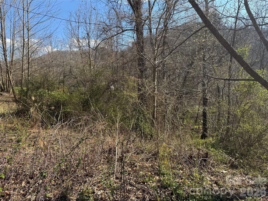 Building lot with beautiful mountain views in the sought after Reems Creek Valley. Lot is sloping up from the driveway off the shared asphalt driveway, up to the level building area. Build your dream home with stunning front porch mountain views. This lot is suitable for a crawl space or full basement. Short drive up to the Blue Ridge Parkway just off Reems Creek Road. No restrictions were found from this family land for generations. Take the opportunity to invest in this beautiful Reems Creek Valley Lot.