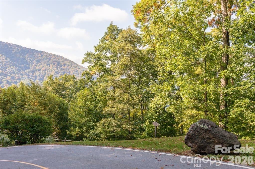 Lot 2 Ball Hooter Road 2/6
