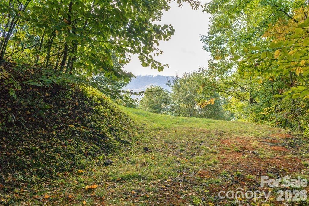 Lot 2 Ball Hooter Road 2/6