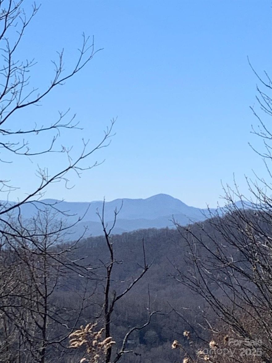 On top of the world and only minutes from downtown Asheville.  This one of kind acreage offers fabulous year round views and privacy for your mountain home.  Gated community. Community well system. Sellers are licensed NC brokers.