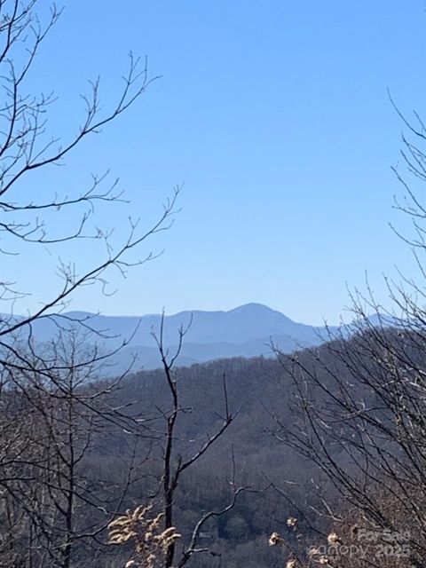 9999 Ebby Ridge Drive 336 Fairview NC 28730