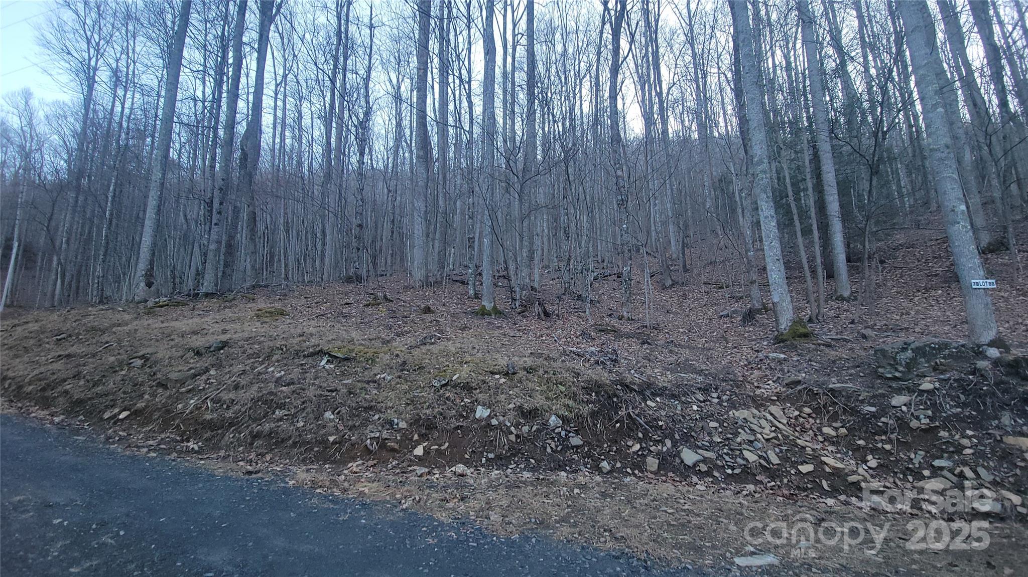 Celo Mountain Lands - Land