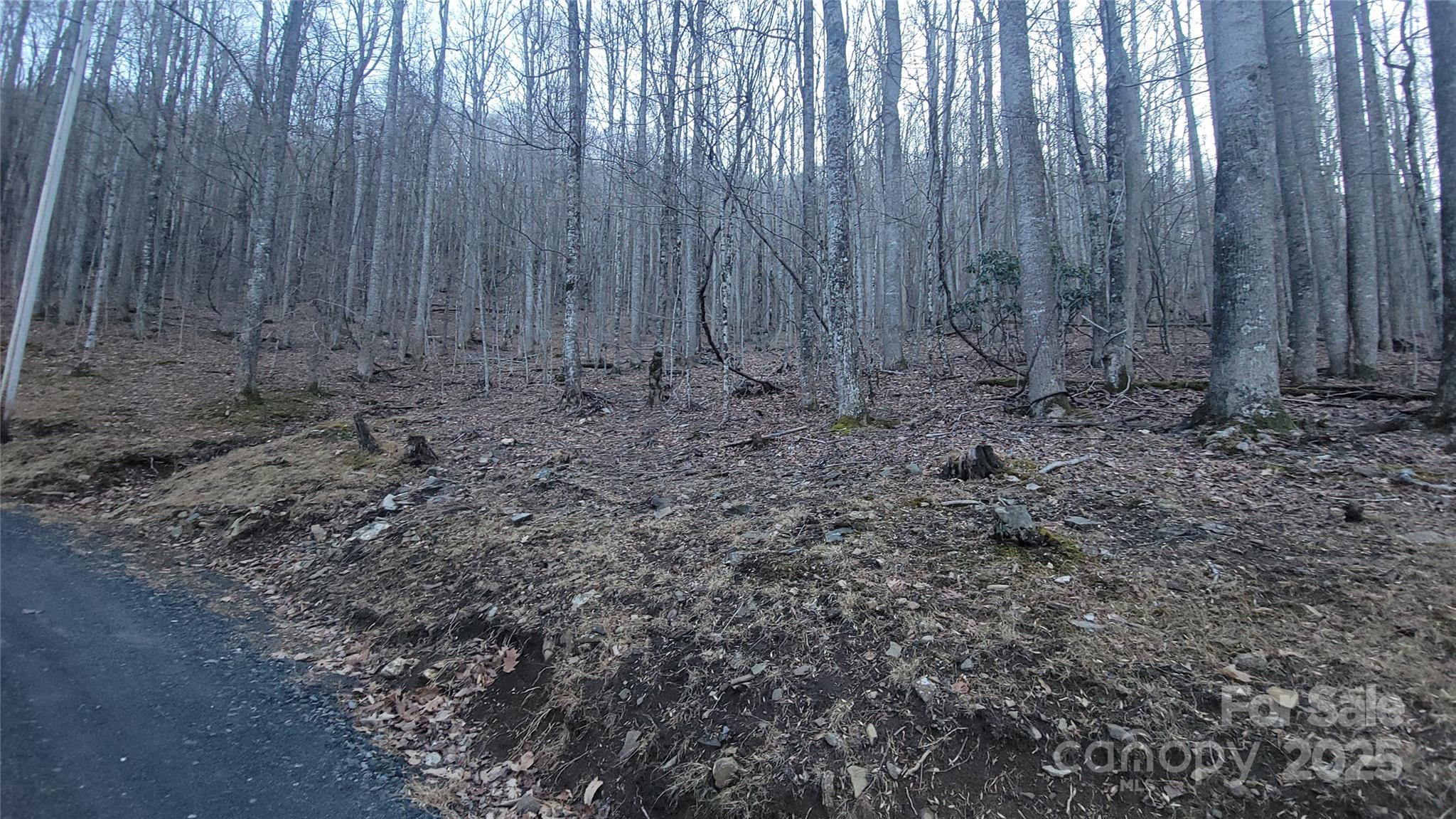 Lot 7B Hickory Springs Road 7B