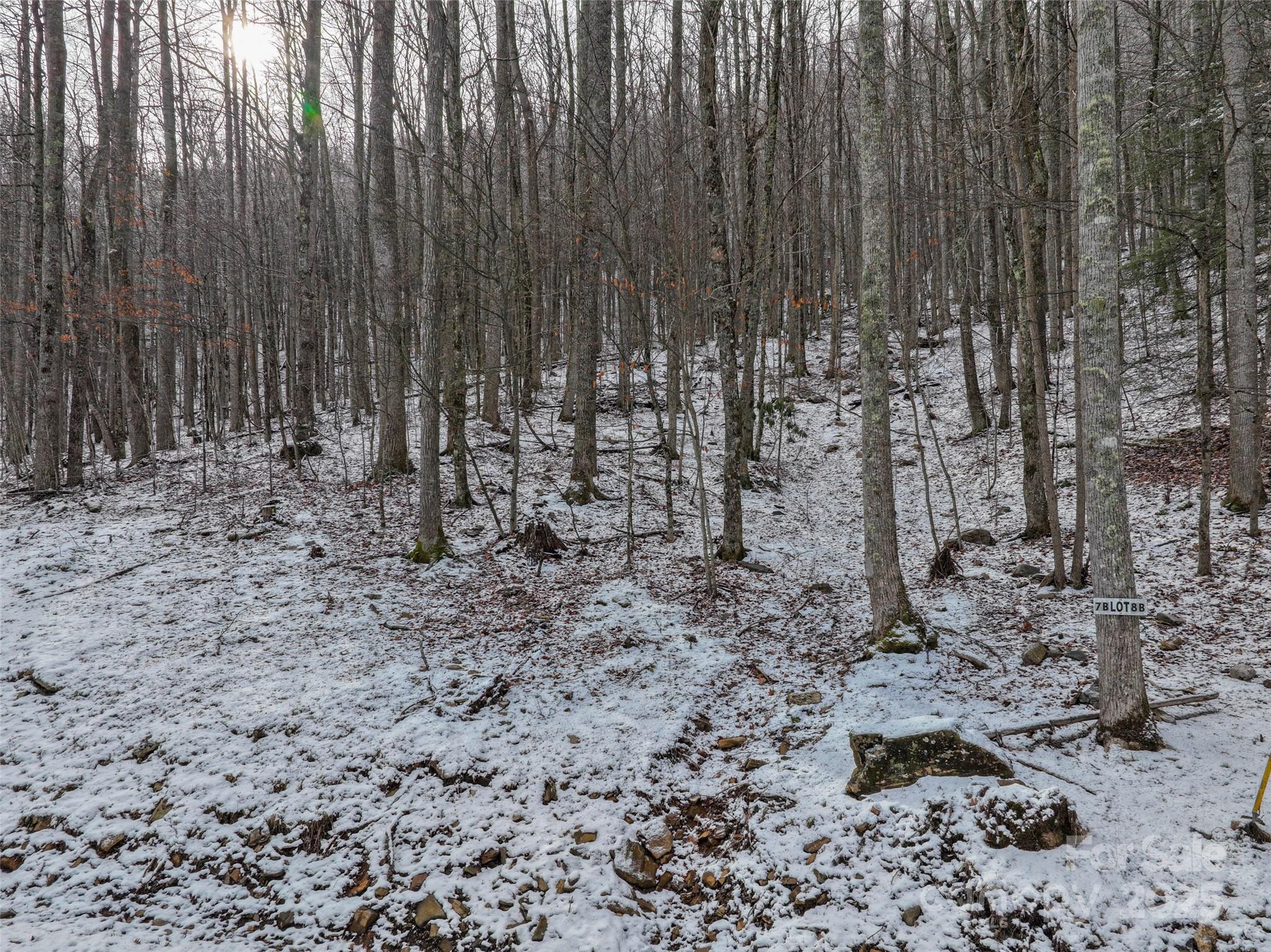 Celo Mountain Lands - Land