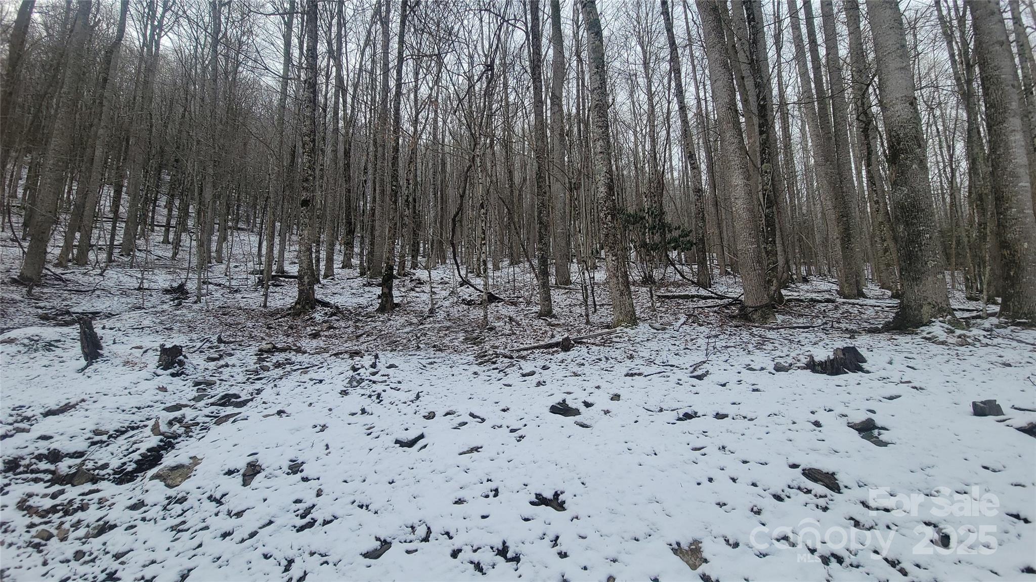 Lot 7B Hickory Springs Road 7B