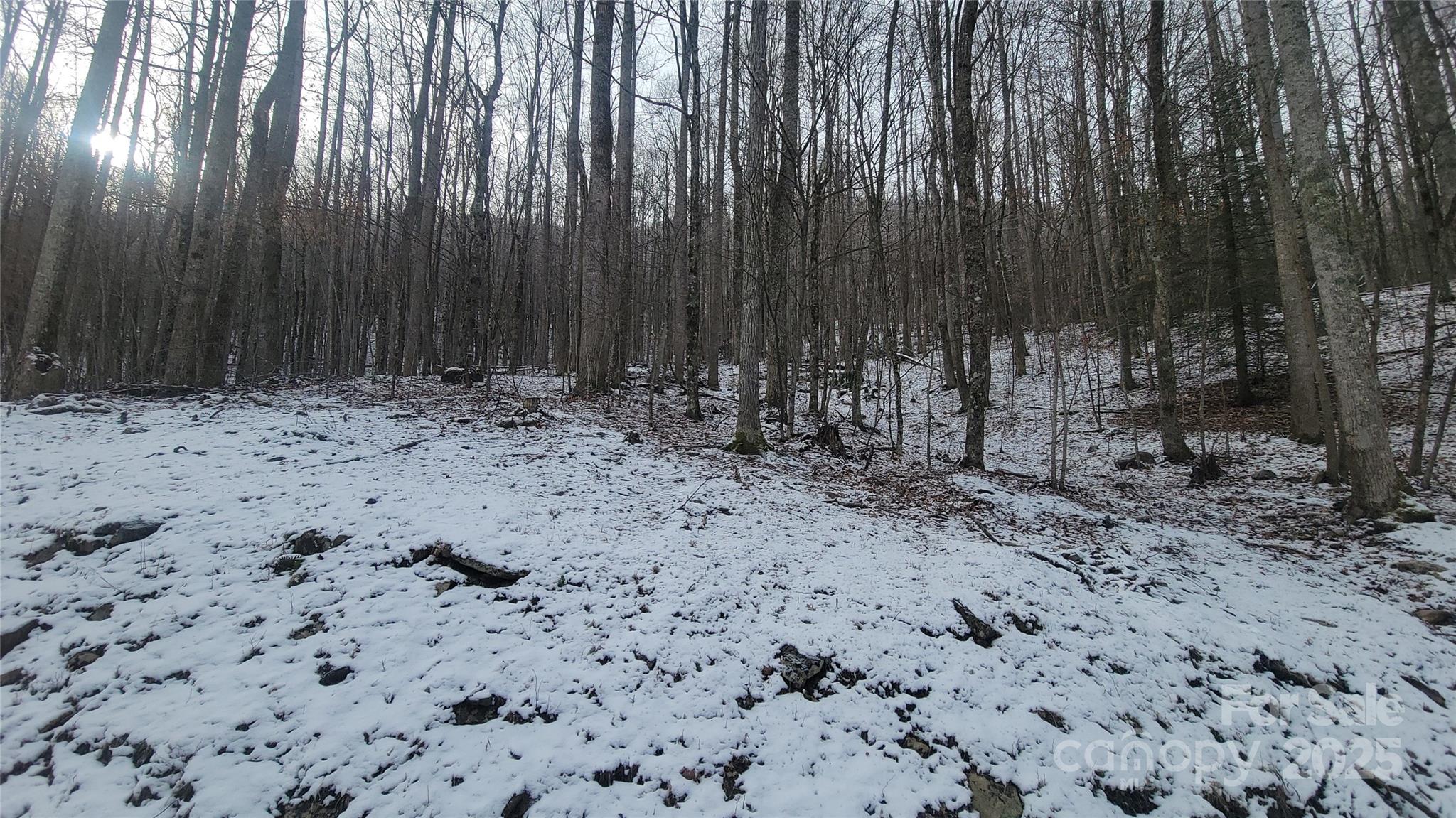 Lot 7B Hickory Springs Road 7B