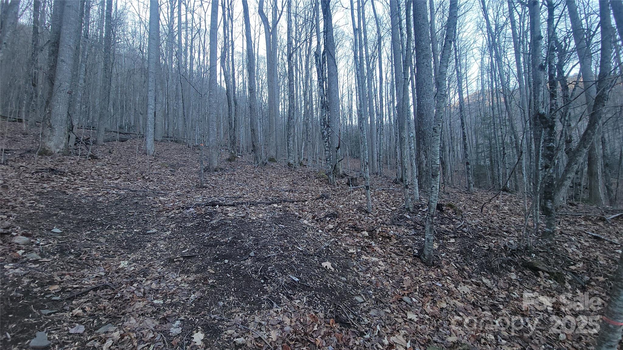 Lot 7B Hickory Springs Road 7B