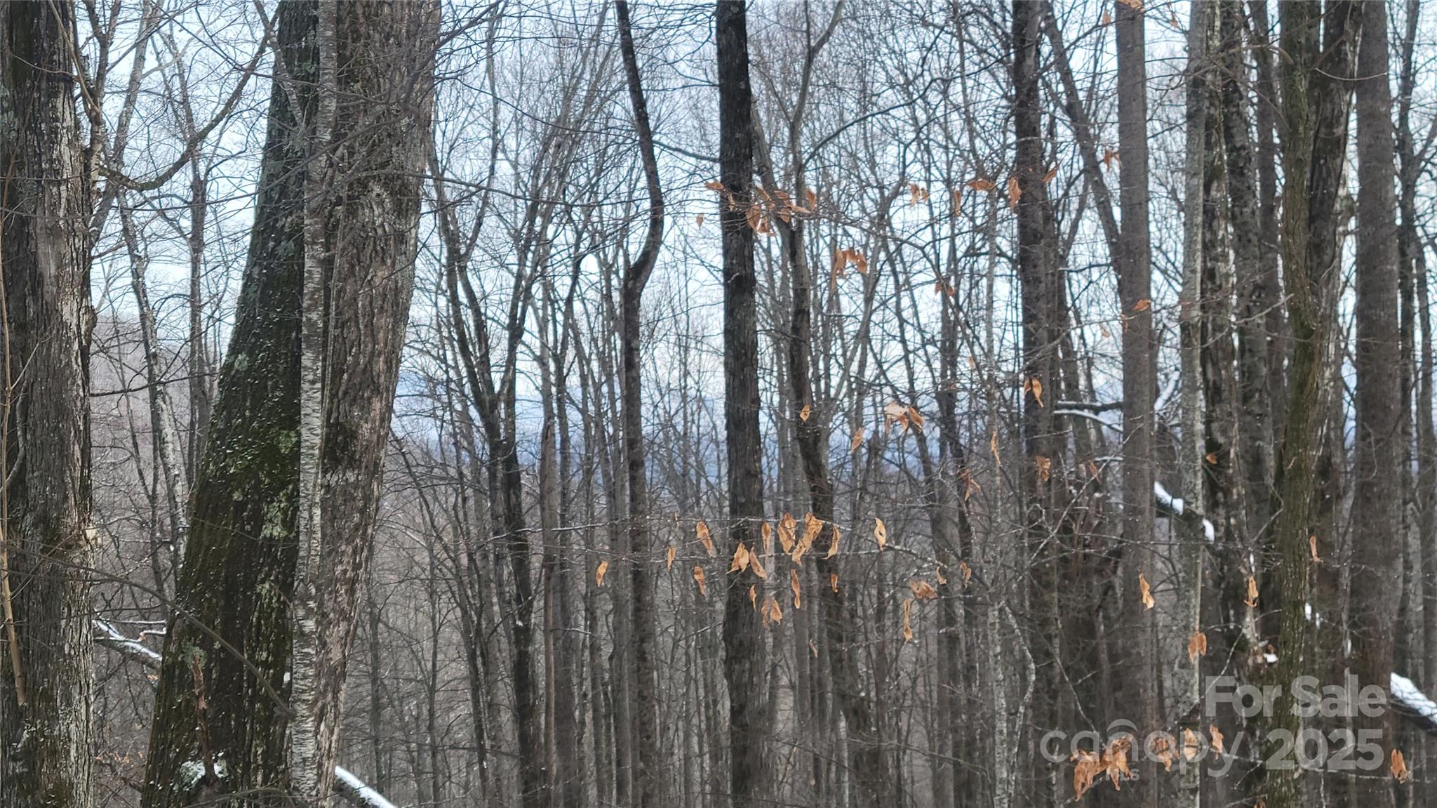 Lot 7B Hickory Springs Road 7B