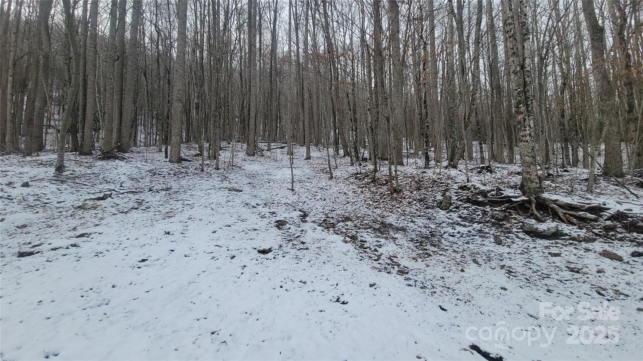 Lot 7B Hickory Springs Road 7B