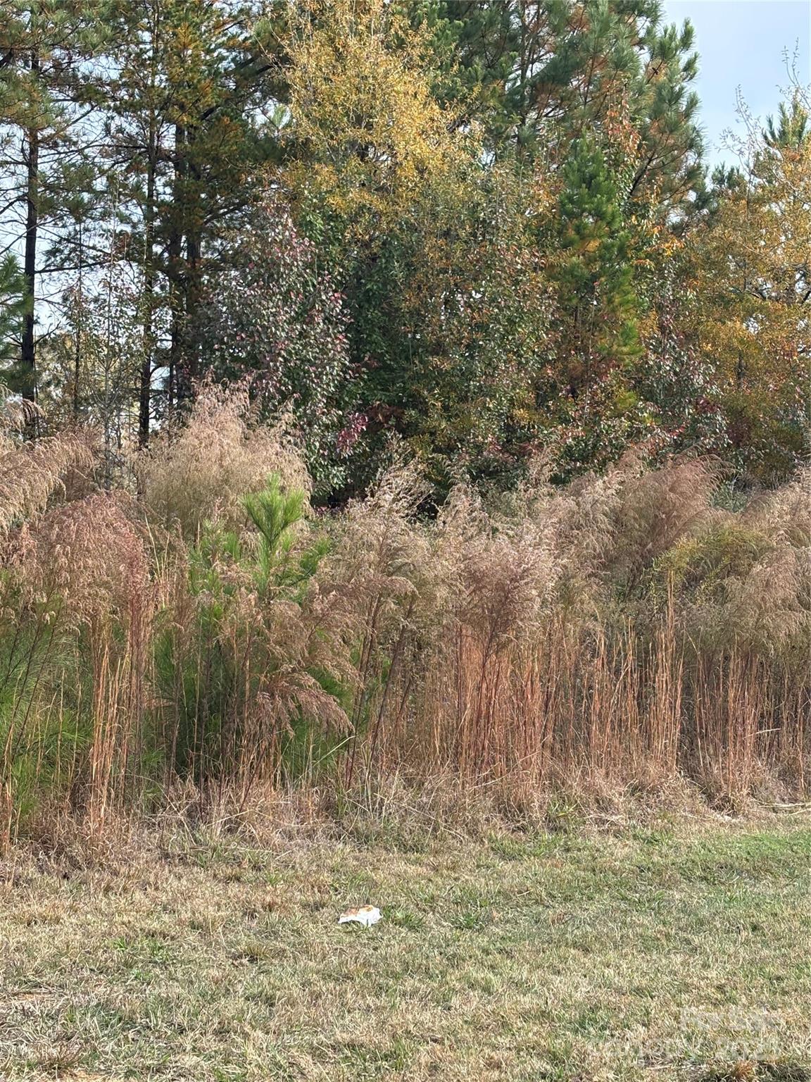 3800 Yorkshire Place