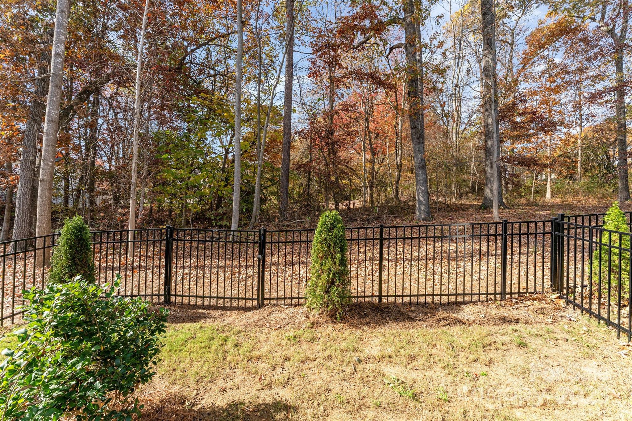 Washam Potts Townhomes - Residential