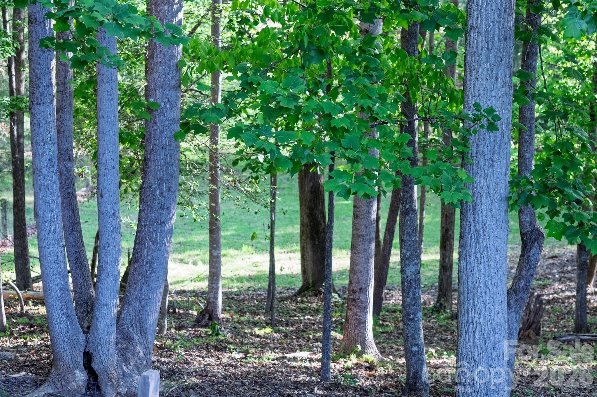 Thornfield - Residential