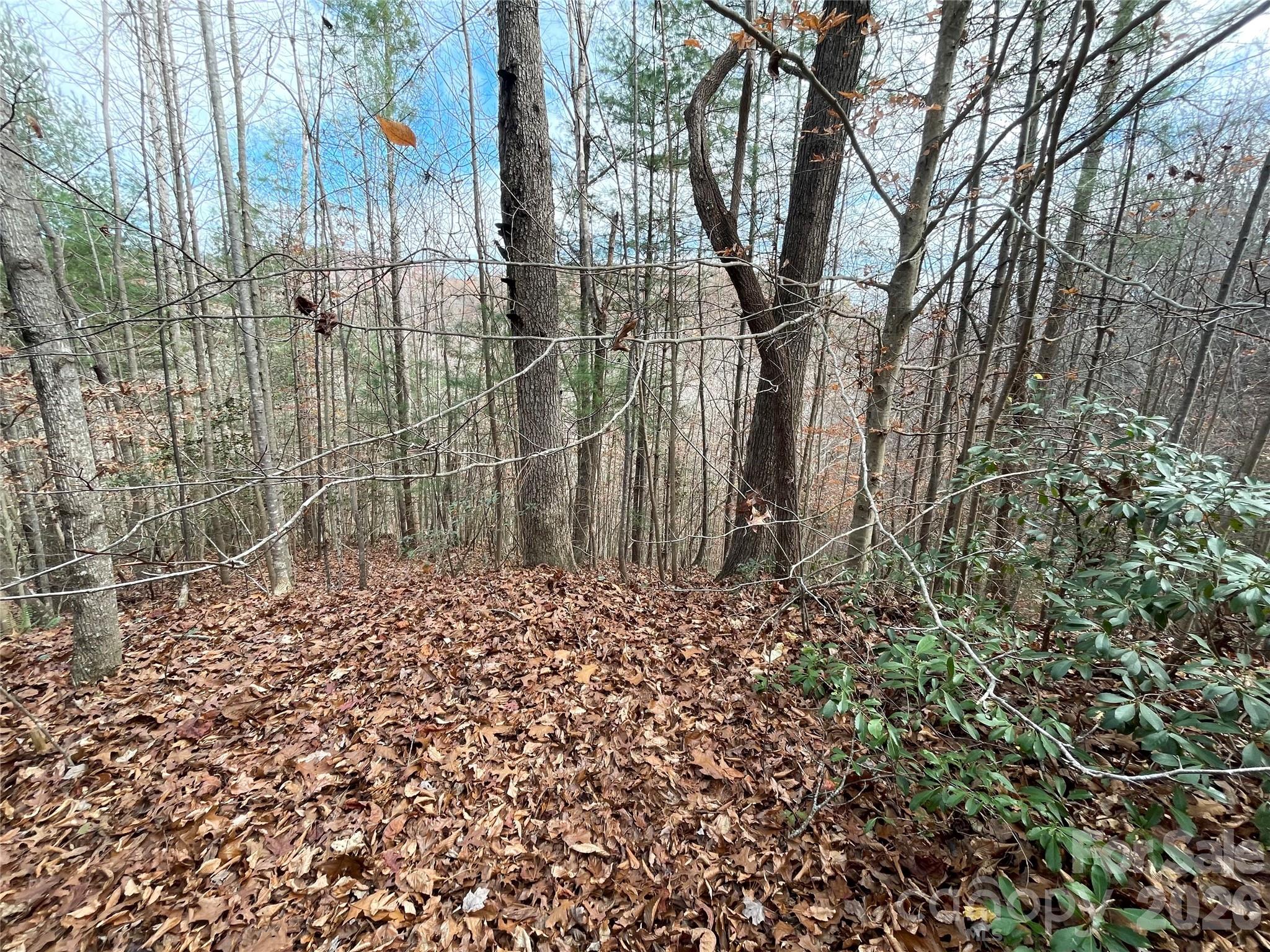 3308 Valley Drive 9m 10m