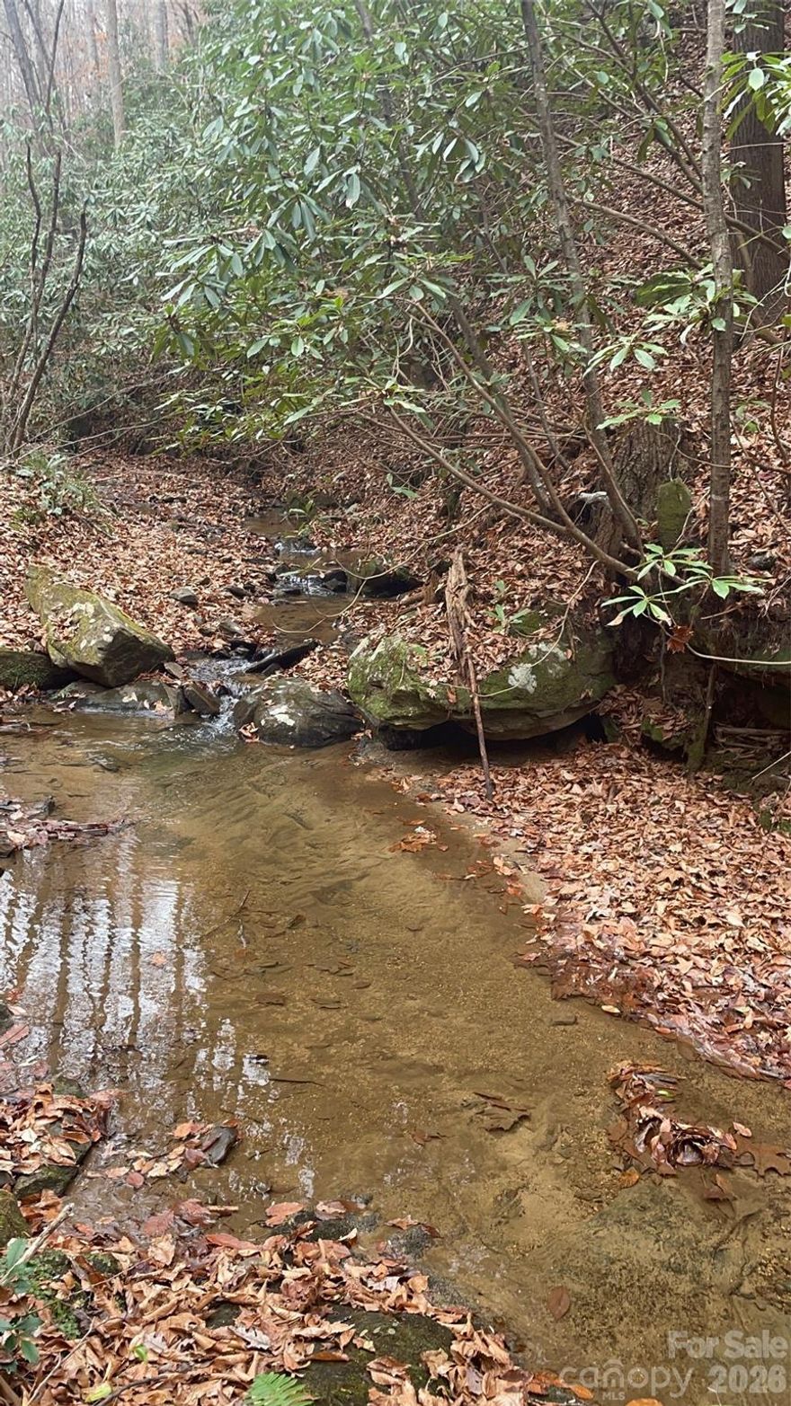 Tucked inside a gated community and set approximately 2 miles from the entrance, this ±20-acre wooded retreat is the kind of property buyers wait for—private, peaceful, and full of natural charm. A mountain stream winds through the land, creating the perfect backdrop for a future homesite and offering idyllic spots for a picnic area or a quiet place to unwind. While much of the terrain showcases beautiful mountain character, you’ll also find gently sloped and more open sections that lend themselves to future plans. With a road bed already in place, you’re one step closer to bringing your vision to life—whether that’s a serene vacation escape or an affordable full-time home (minimum 1,000 sq. ft.). Enjoy the added value of low HOA fees, plus gravel roads maintained by the HOA, making access easy while keeping the setting wonderfully secluded. No short-term rentals permitted.