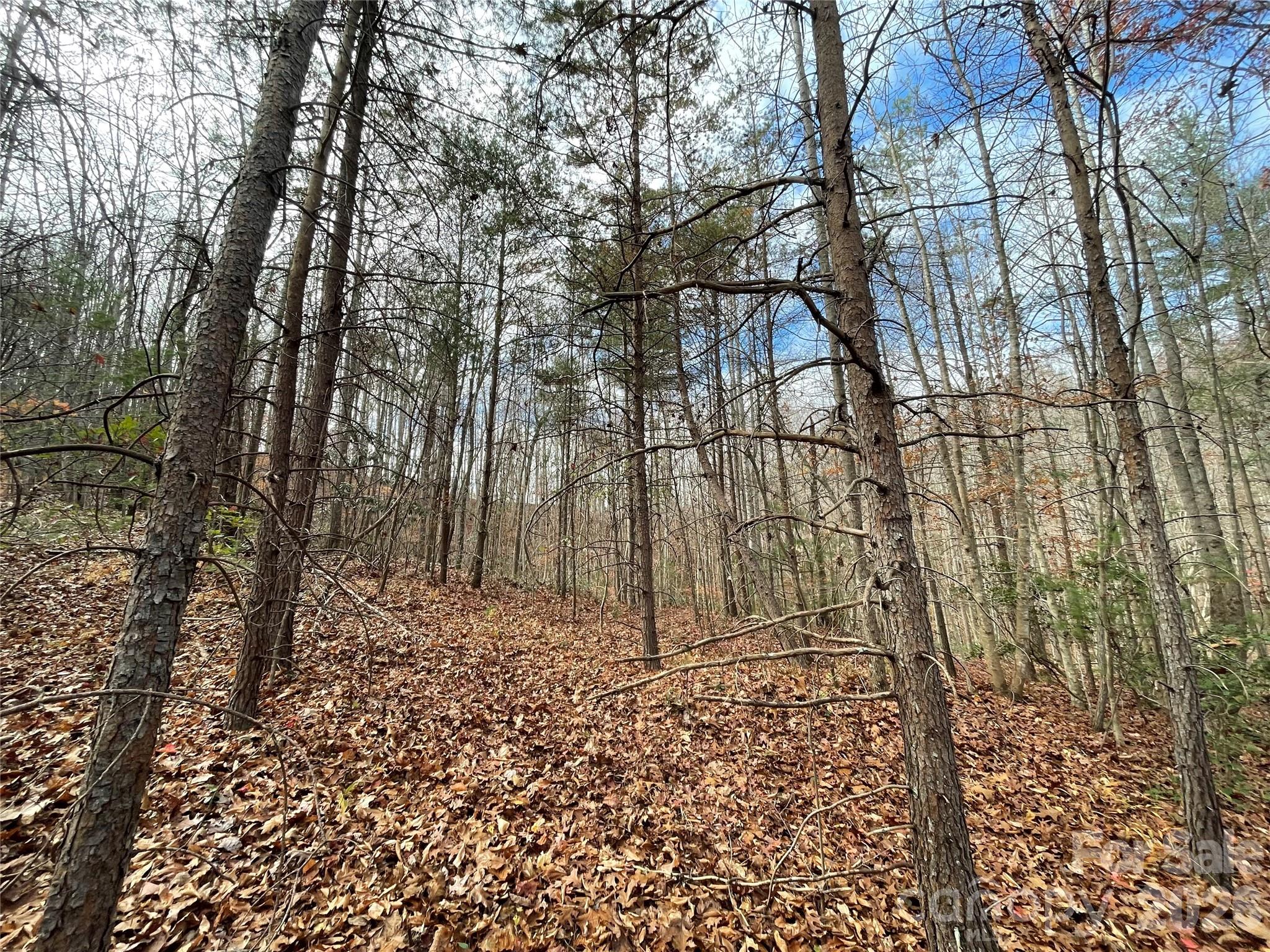 3308 Valley Drive 9m 10m